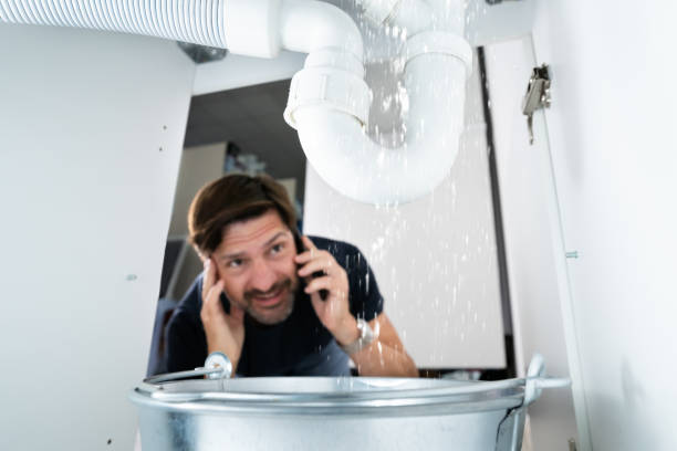 Best Clogged Drain Plumber  in Chesterfield, IN